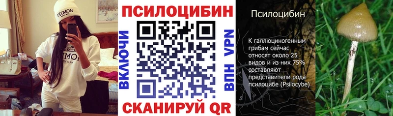 Псилоцибиновые грибы мицелий  ссылка на мегу ссылки  Старая Русса  купить наркоту 