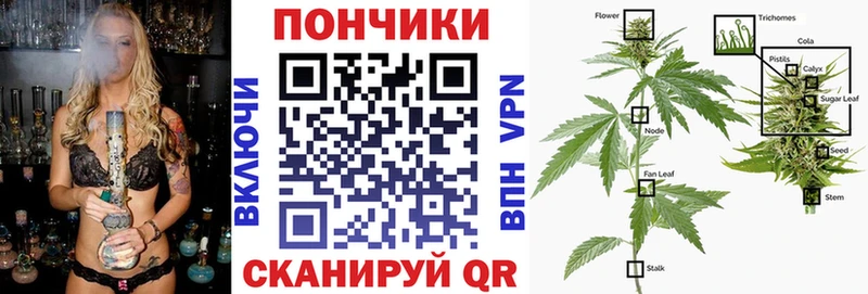 где купить   Старая Русса  Канабис семена 